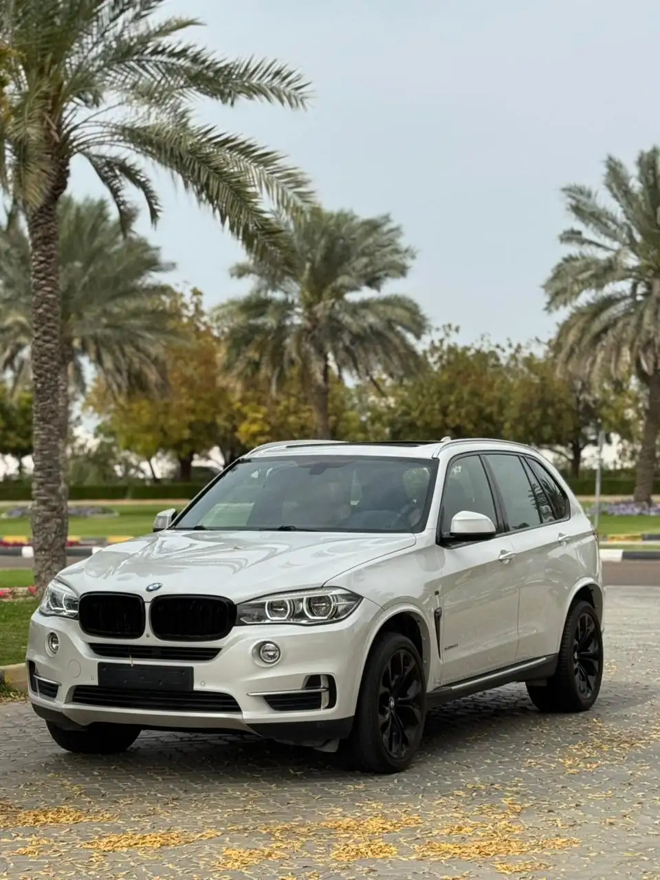 BMW X5 2017 undefinedL