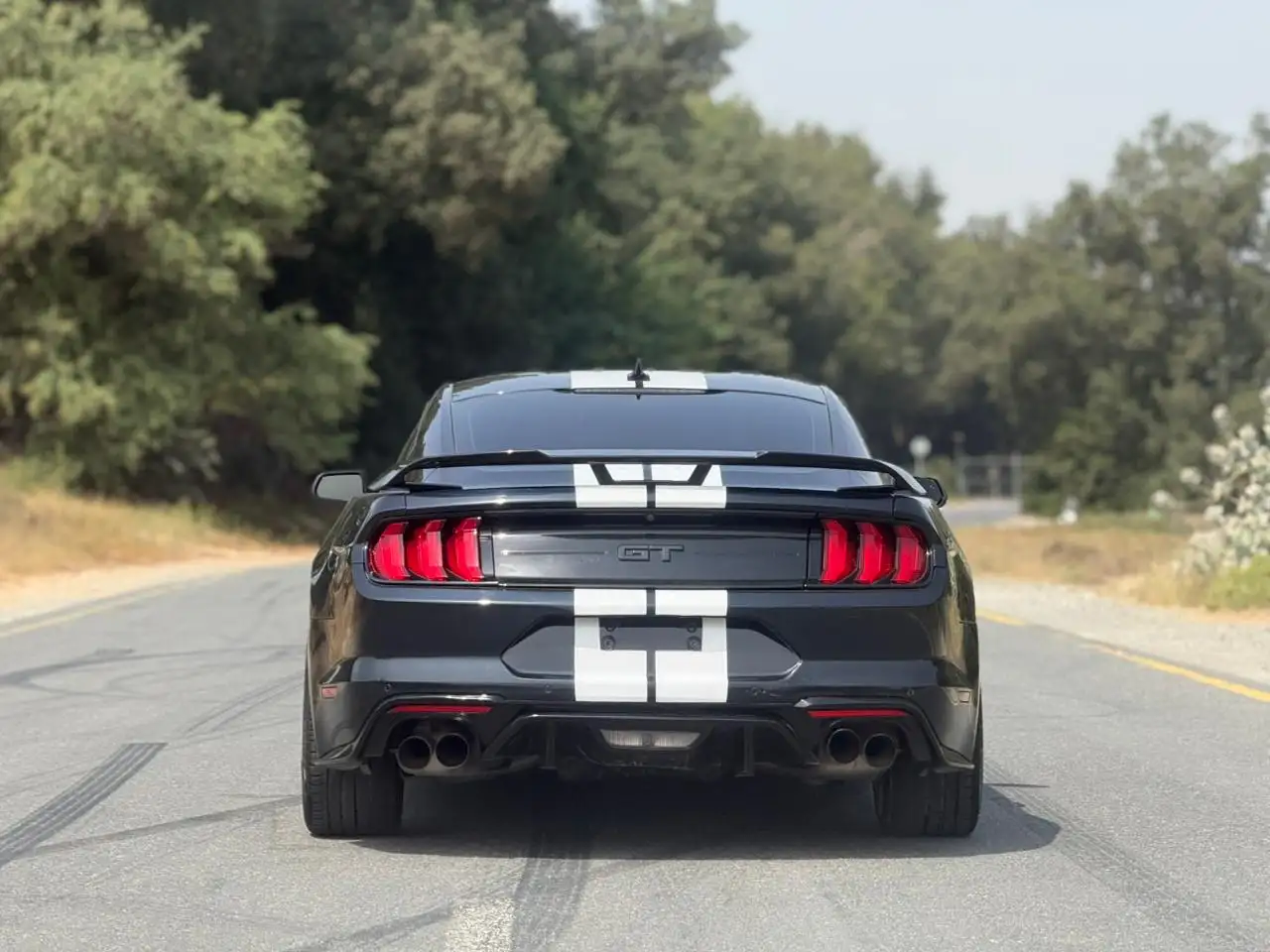 فورد موستانج 2022 5L