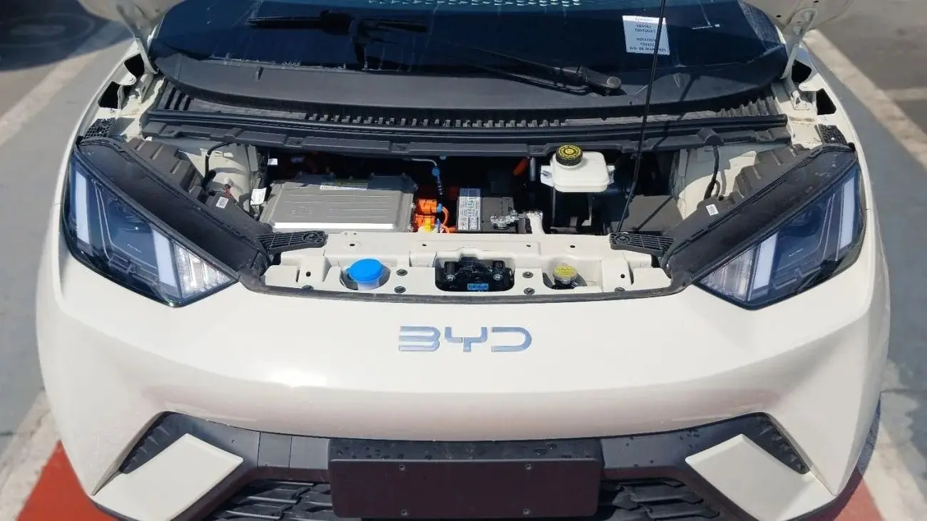 بي واي دي سيجول 2025 undefinedL