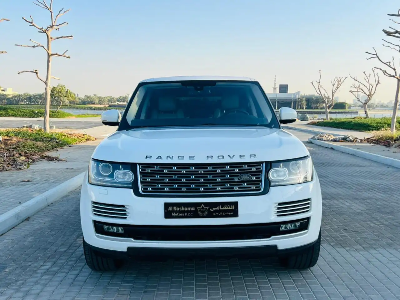 Land Rover Range Rover Vogue 2014 undefinedL