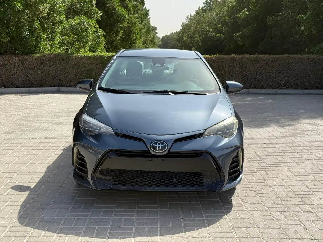 تويوتا كورولا 2019