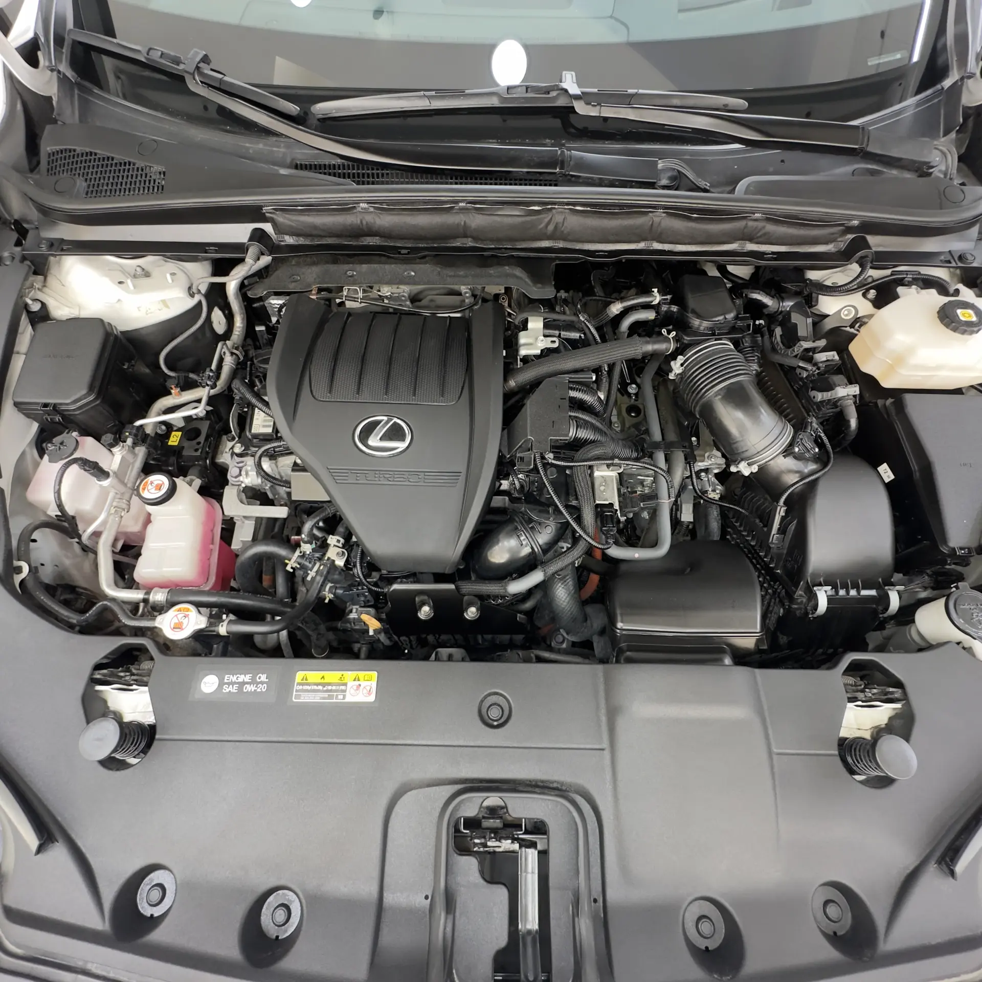Lexus RX 2023 2.4L
