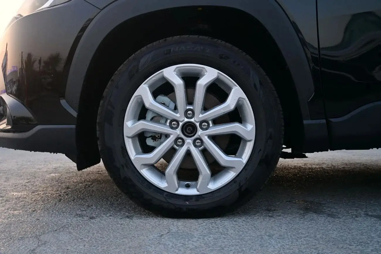 فرونتلاندر 2025 2L