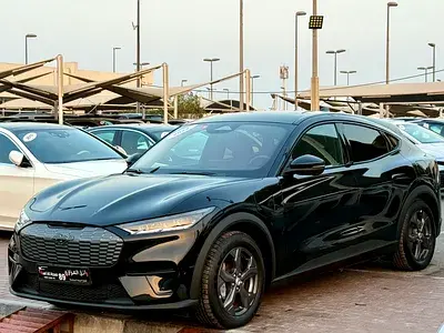 Ford MachE 2022 undefinedL