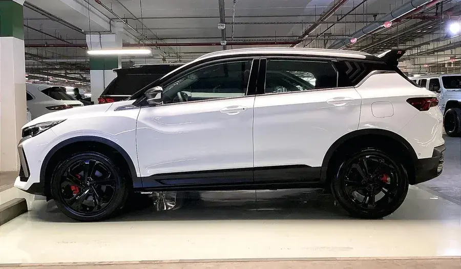 جيلي كول تري 2024