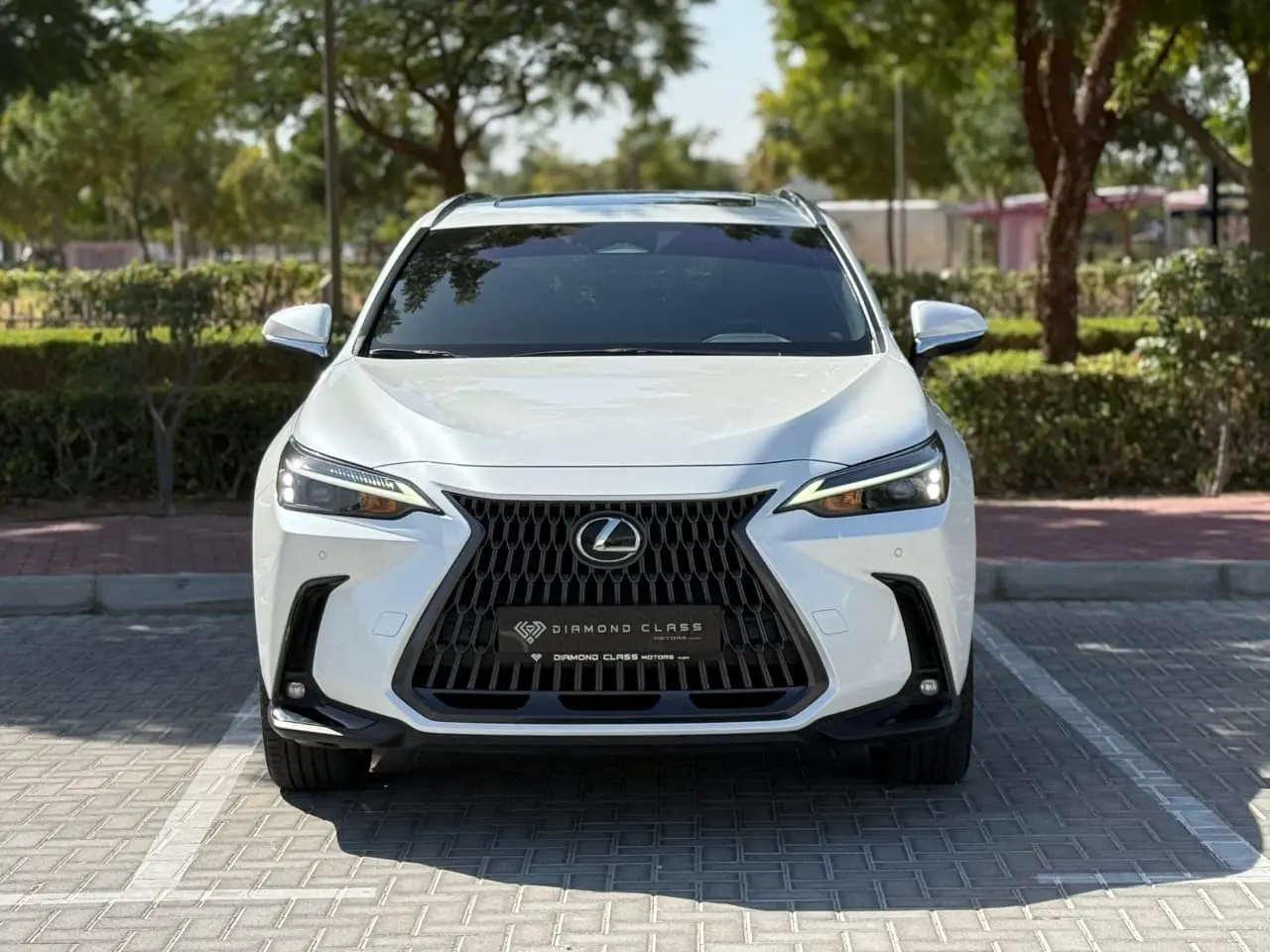 Lexus NX 2025 2.5L