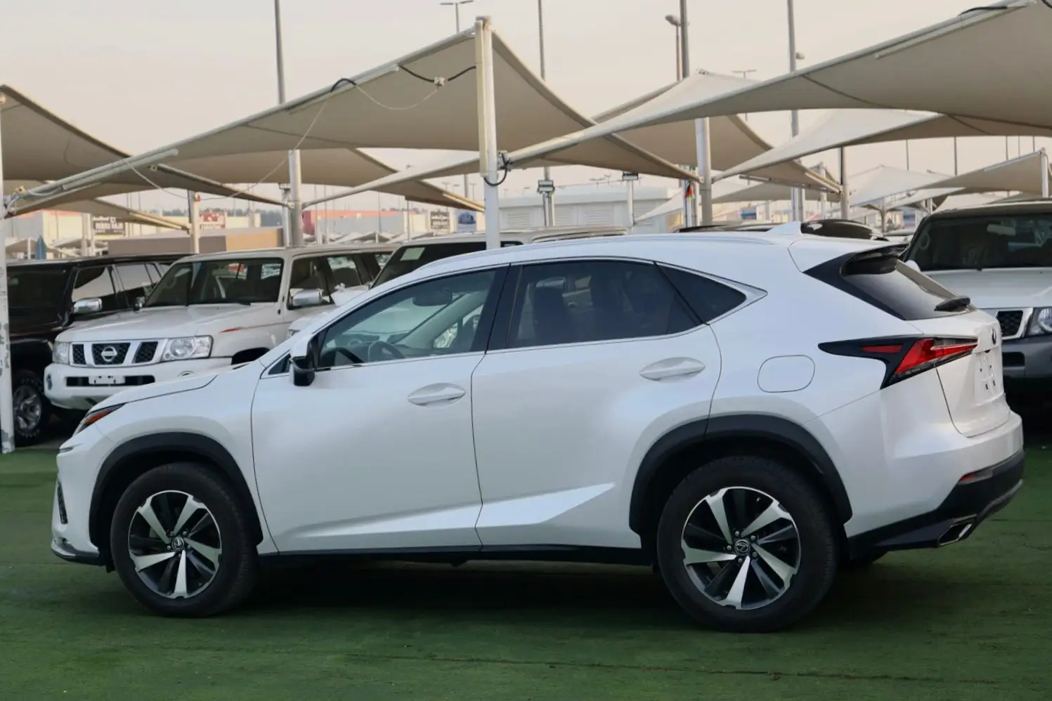 Lexus NX 2020