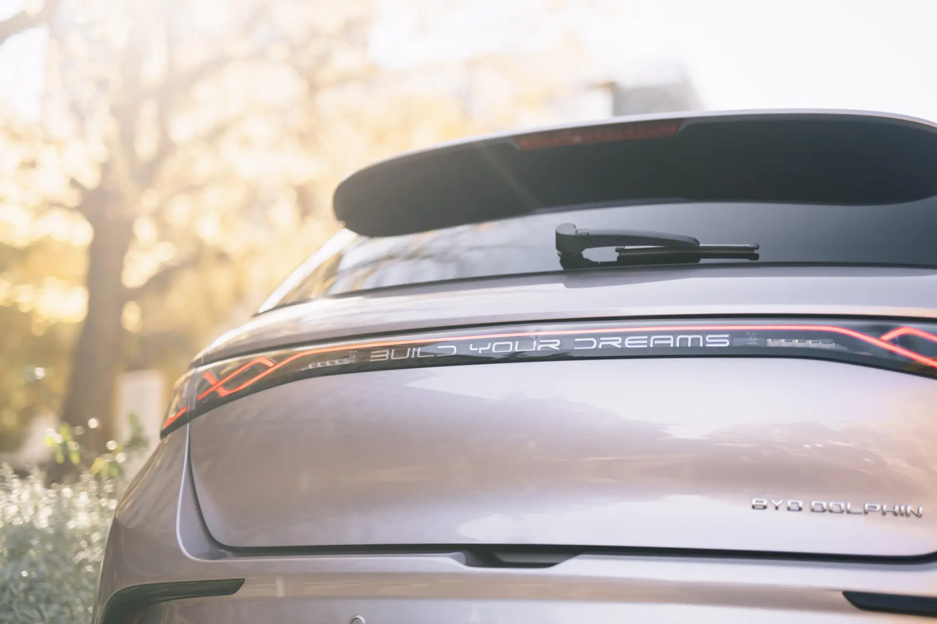 BYD Dolphin 2025 0L