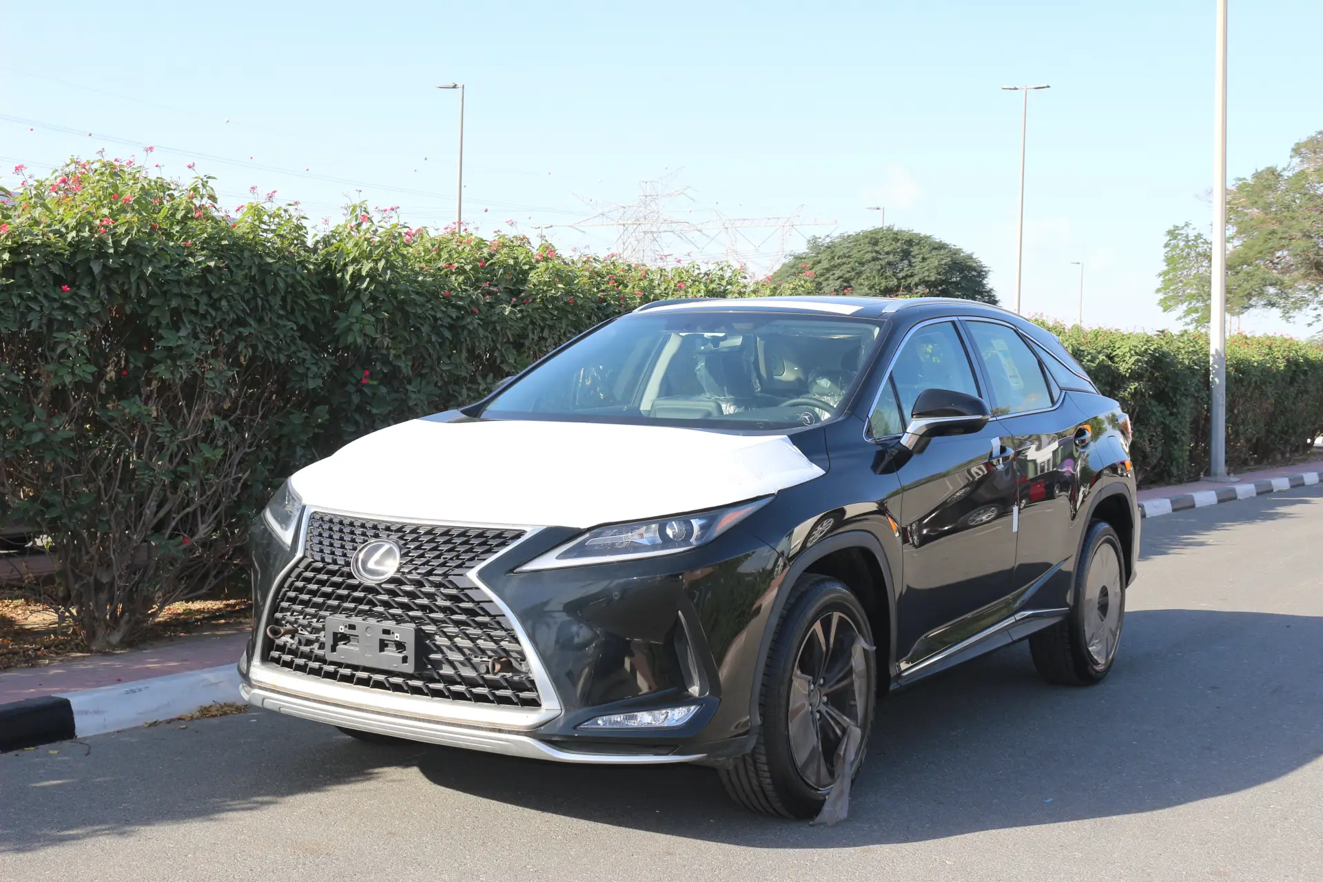 Lexus RX 2022 3500L