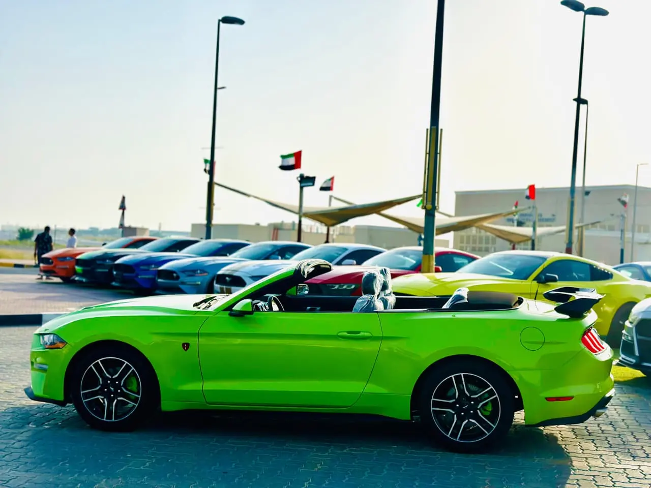 Ford Mustang 2019