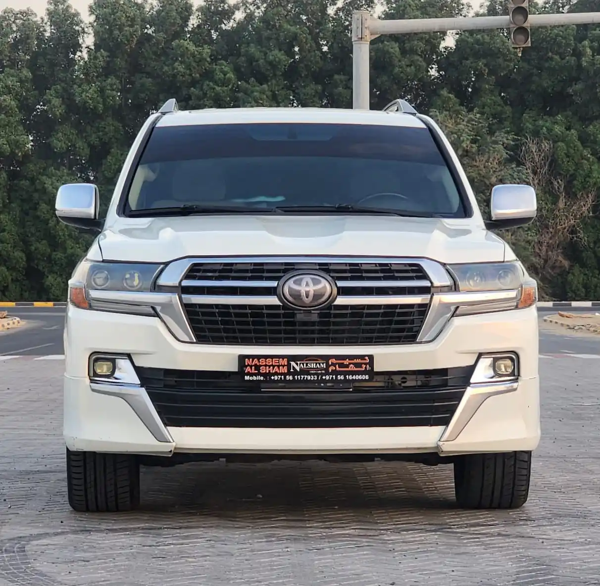 Toyota Land Cruiser 2011