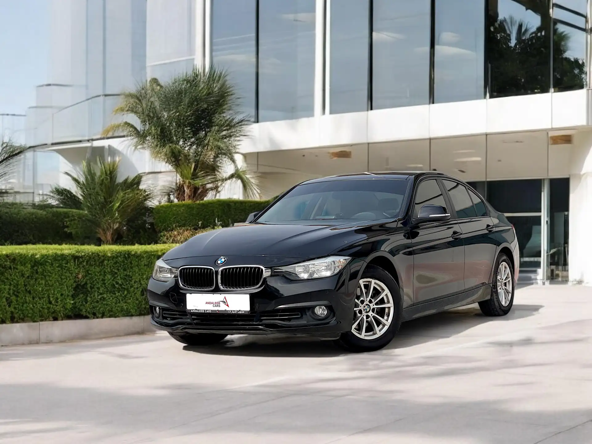 BMW 3 Series 2016 1.6L