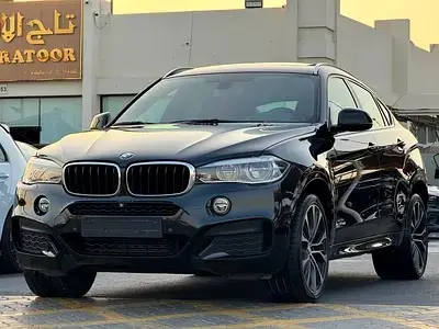 BMW X6 2019 3L