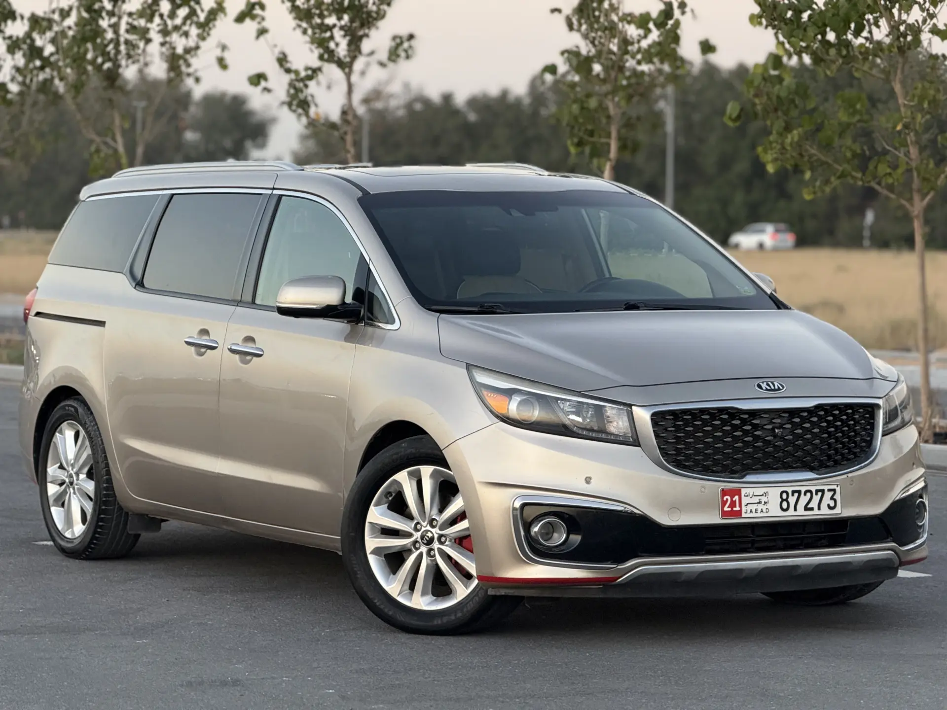 Kia Sedona 2015