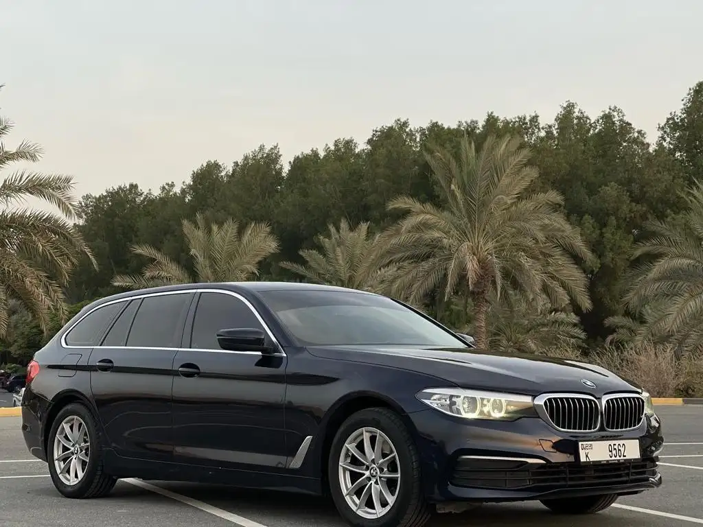 BMW 5 Series 2019 2.5L