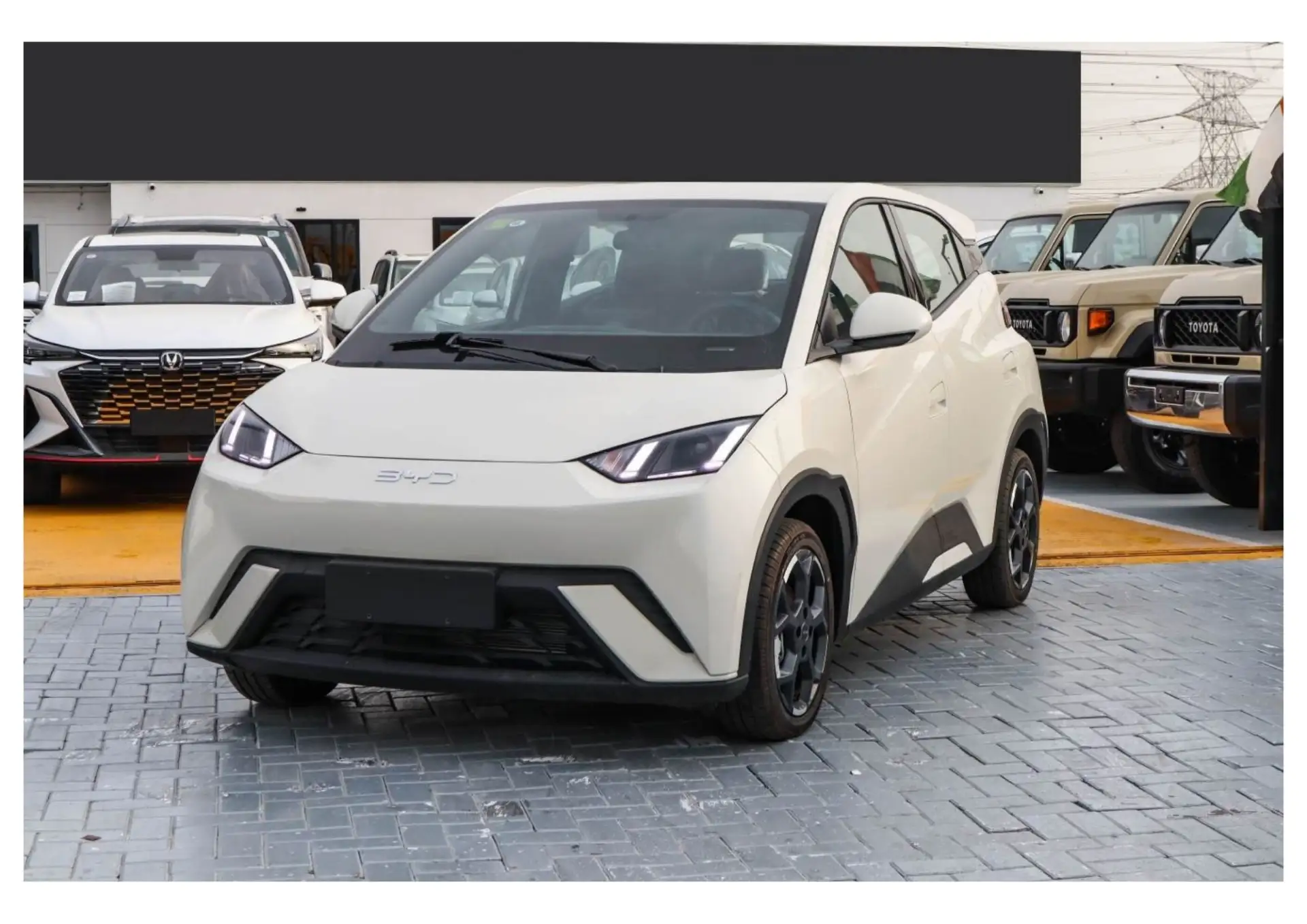 بي واي دي سيجول 2025 undefinedL