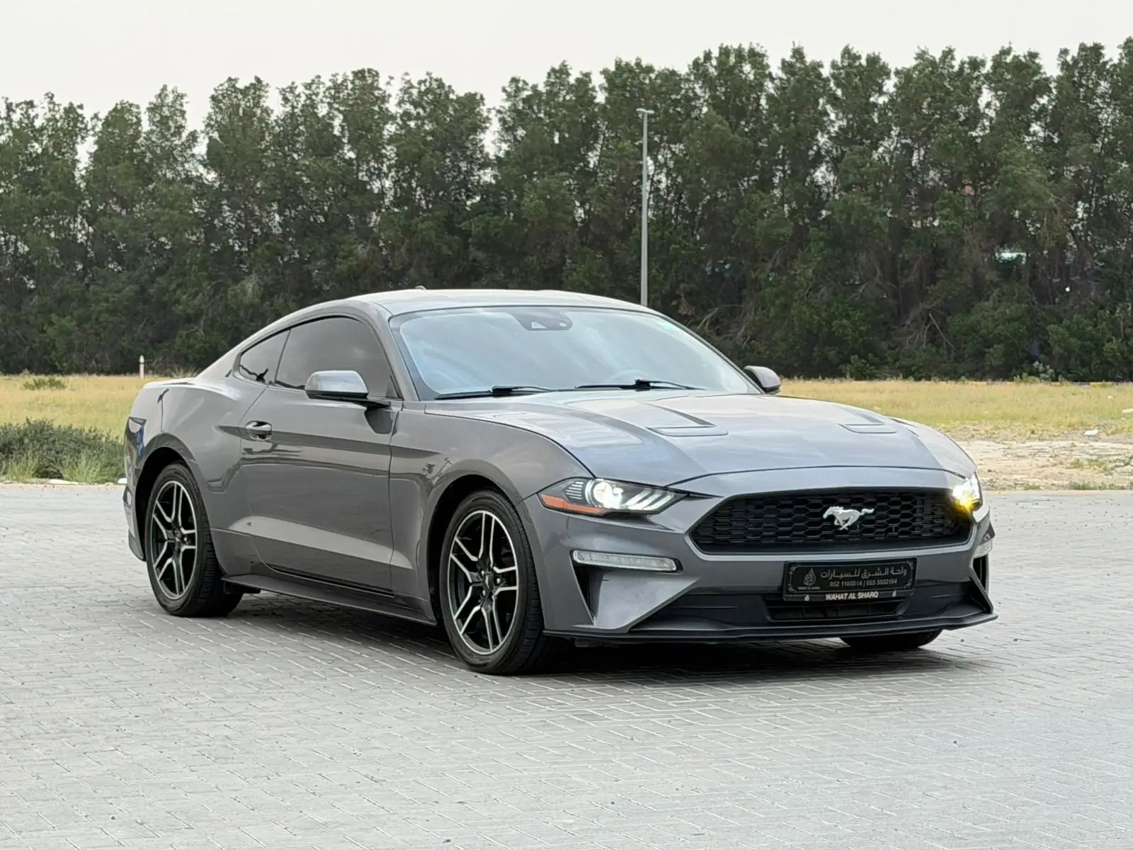 Ford Mustang 2022 2.3L