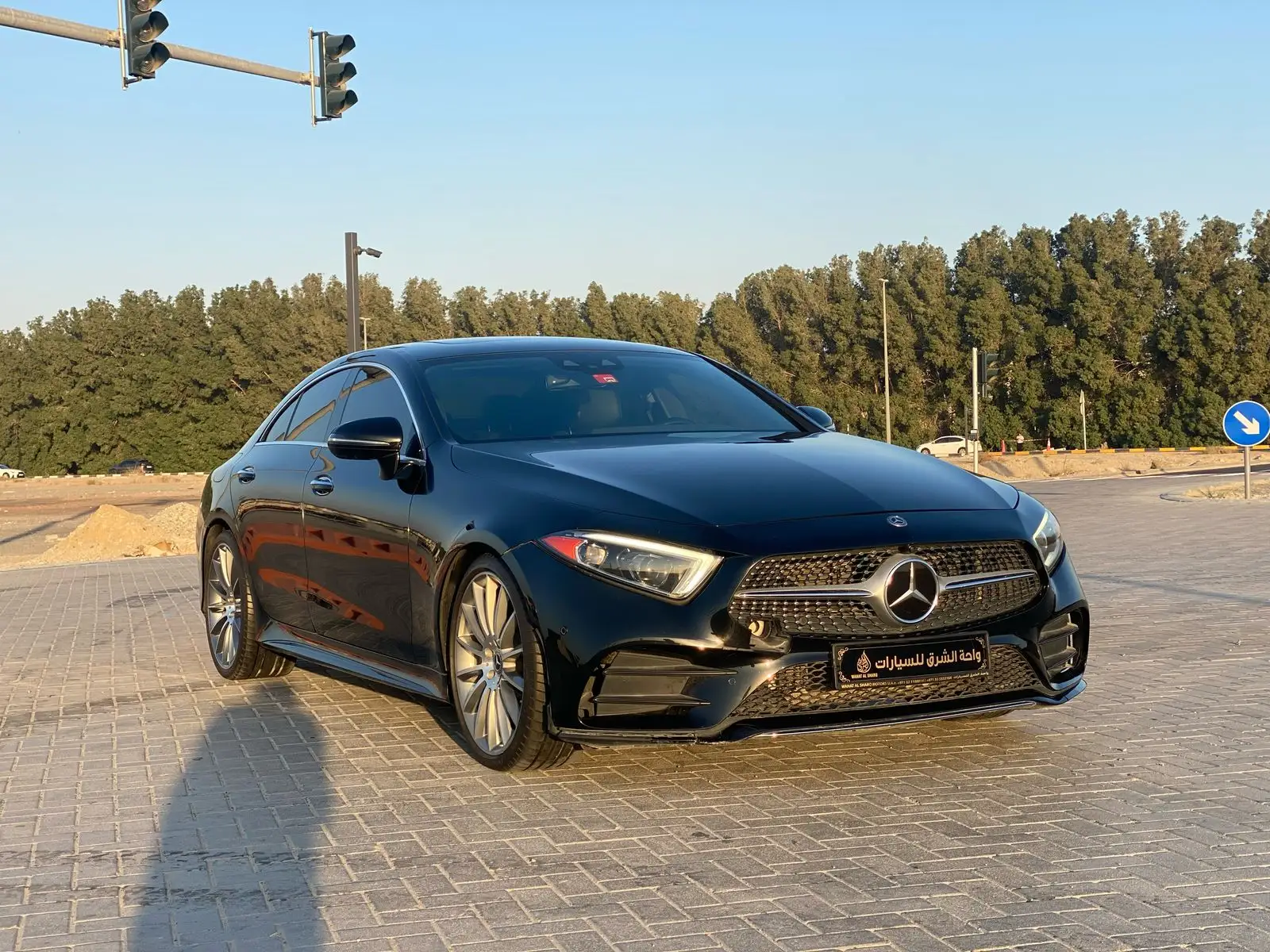 Mercedes Benz CLS Class 2019 3L