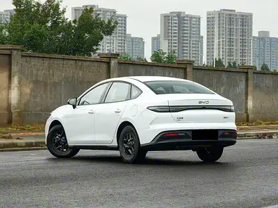 بي واي دي سيل 2025