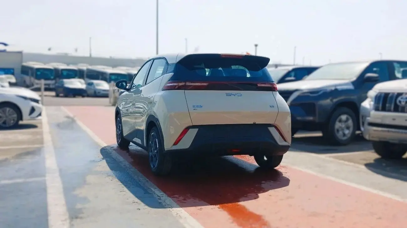 بي واي دي سيجول 2025 undefinedL