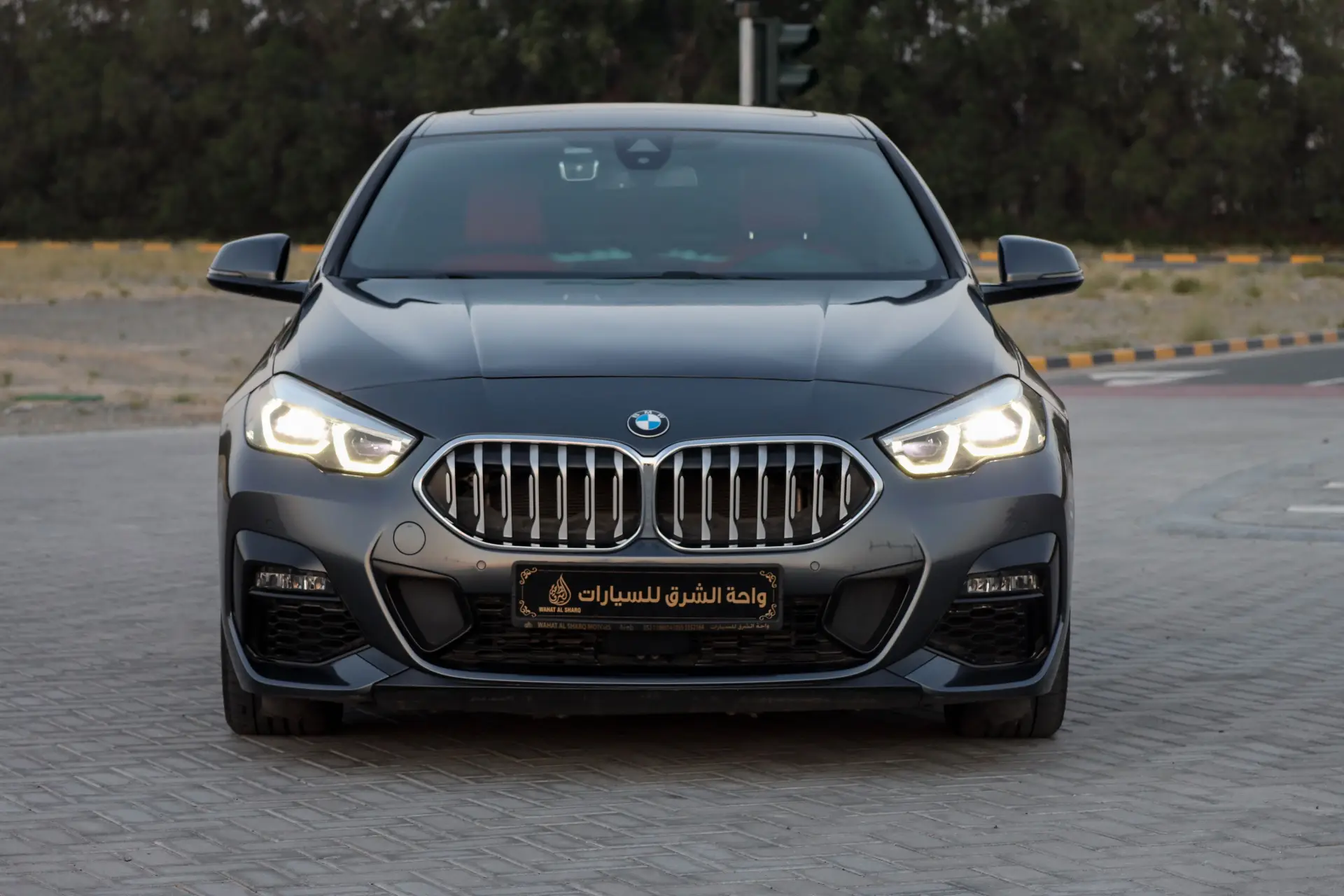 BMW 2 Series 2022 2L