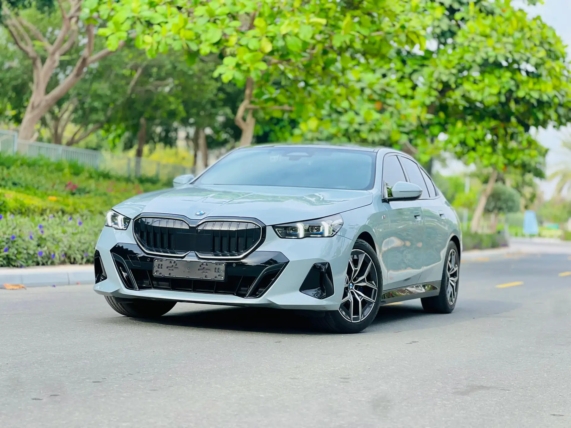 BMW 5 Series 2024 2L