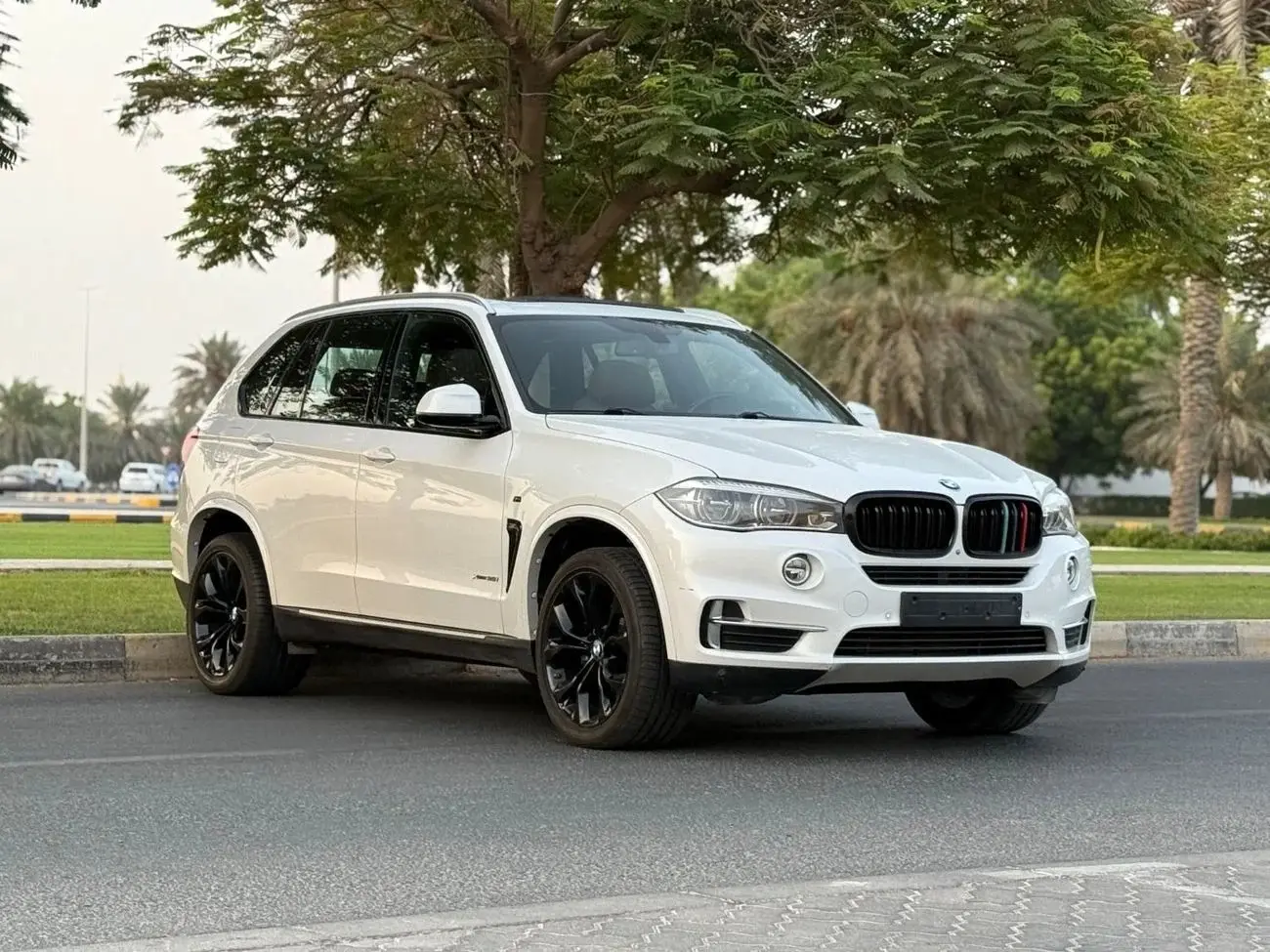 BMW X5 2016 3L