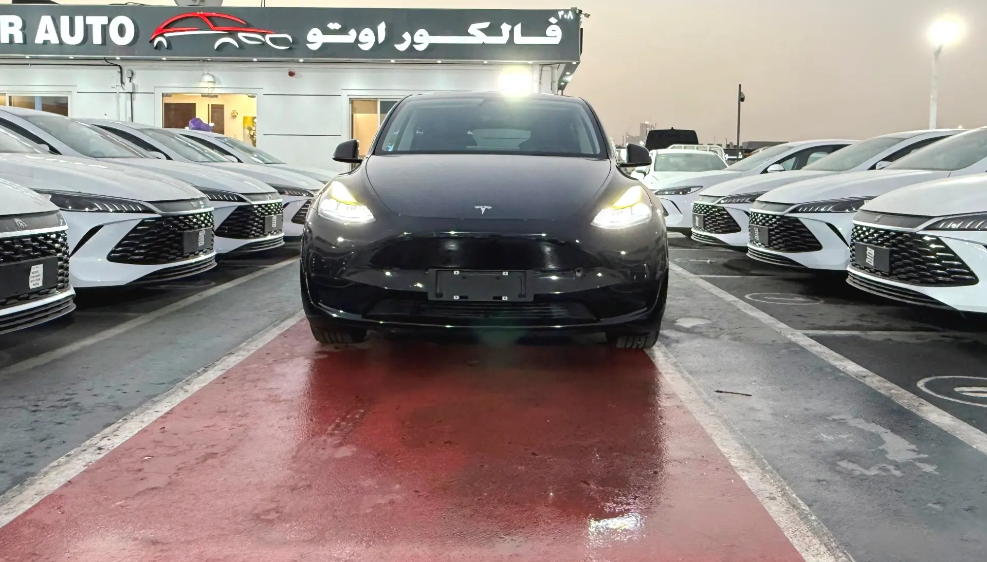 Tesla Model Y 2022 3L