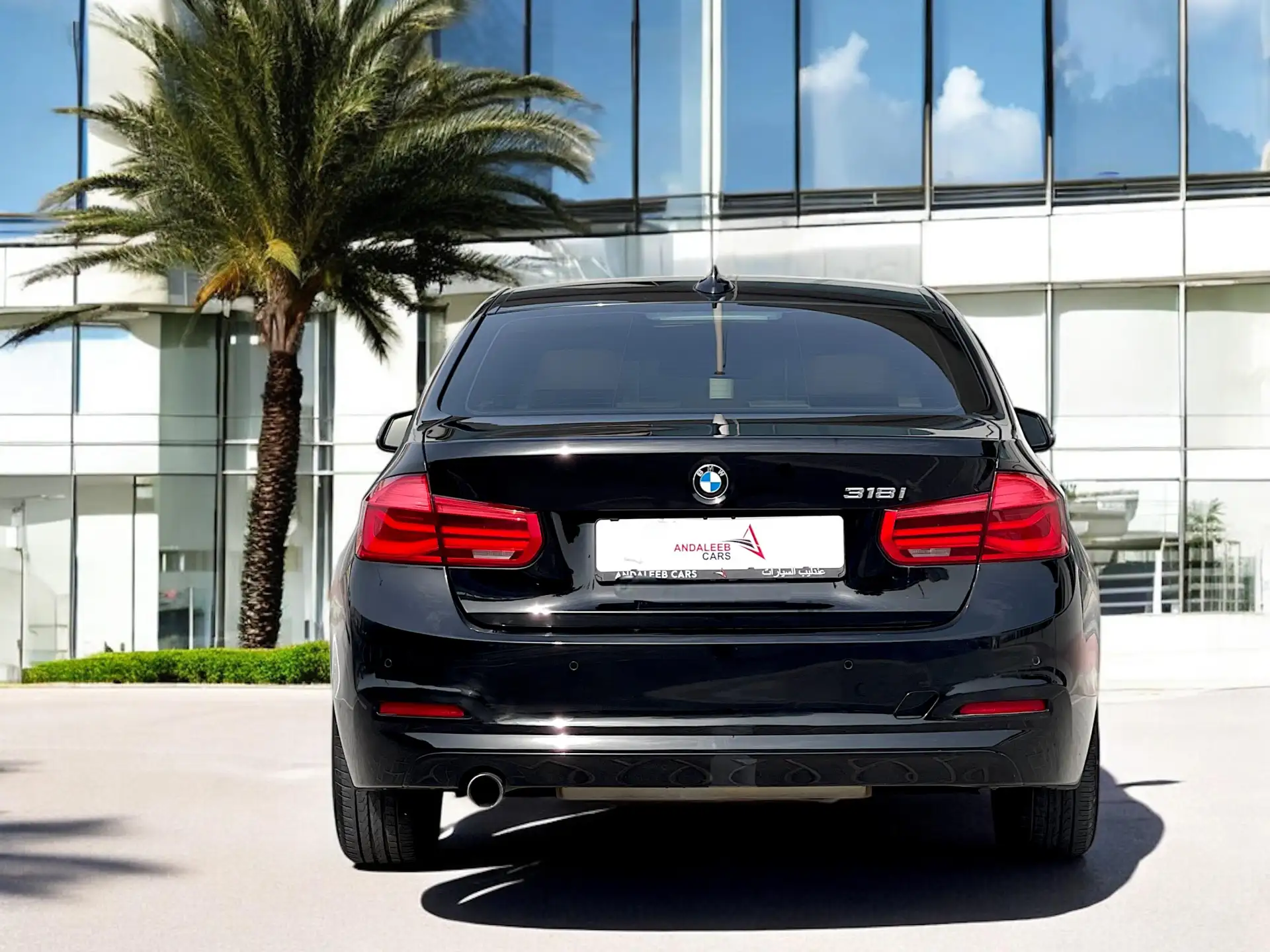 BMW 3 Series 2016 1.6L