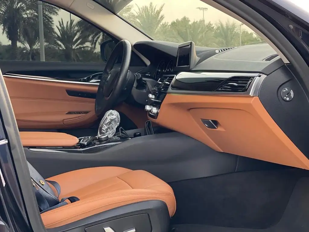 BMW 5 Series 2019 2.5L