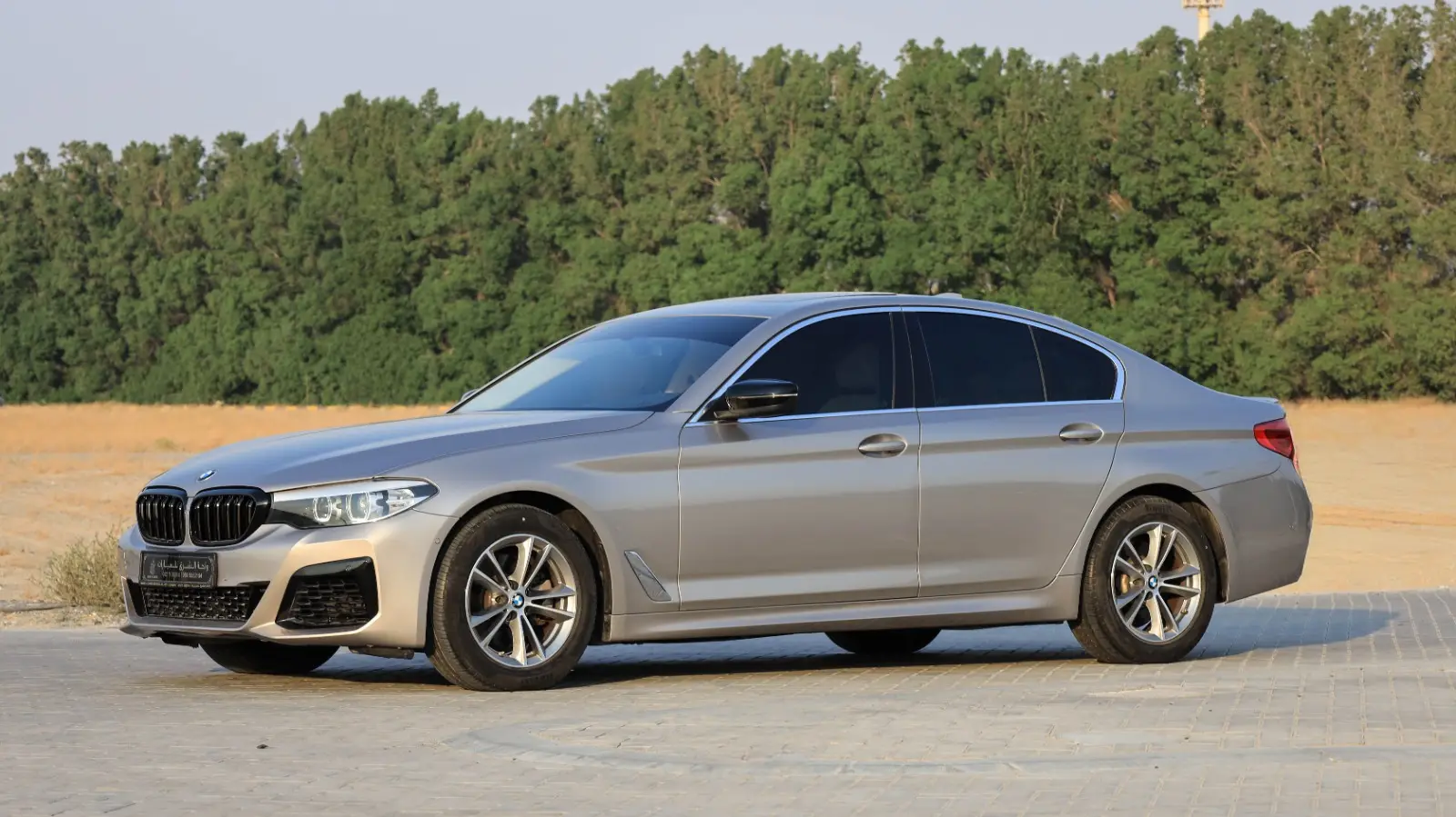 BMW 5 Series 2020 2L