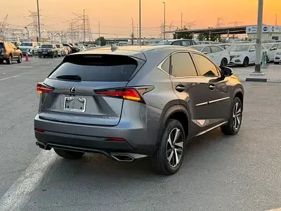 Lexus NX 2020