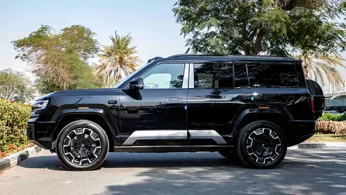  ليوبارد 8 2025