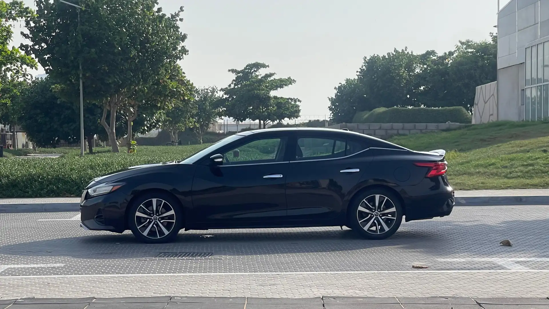 نيسان ماكسيما 2020