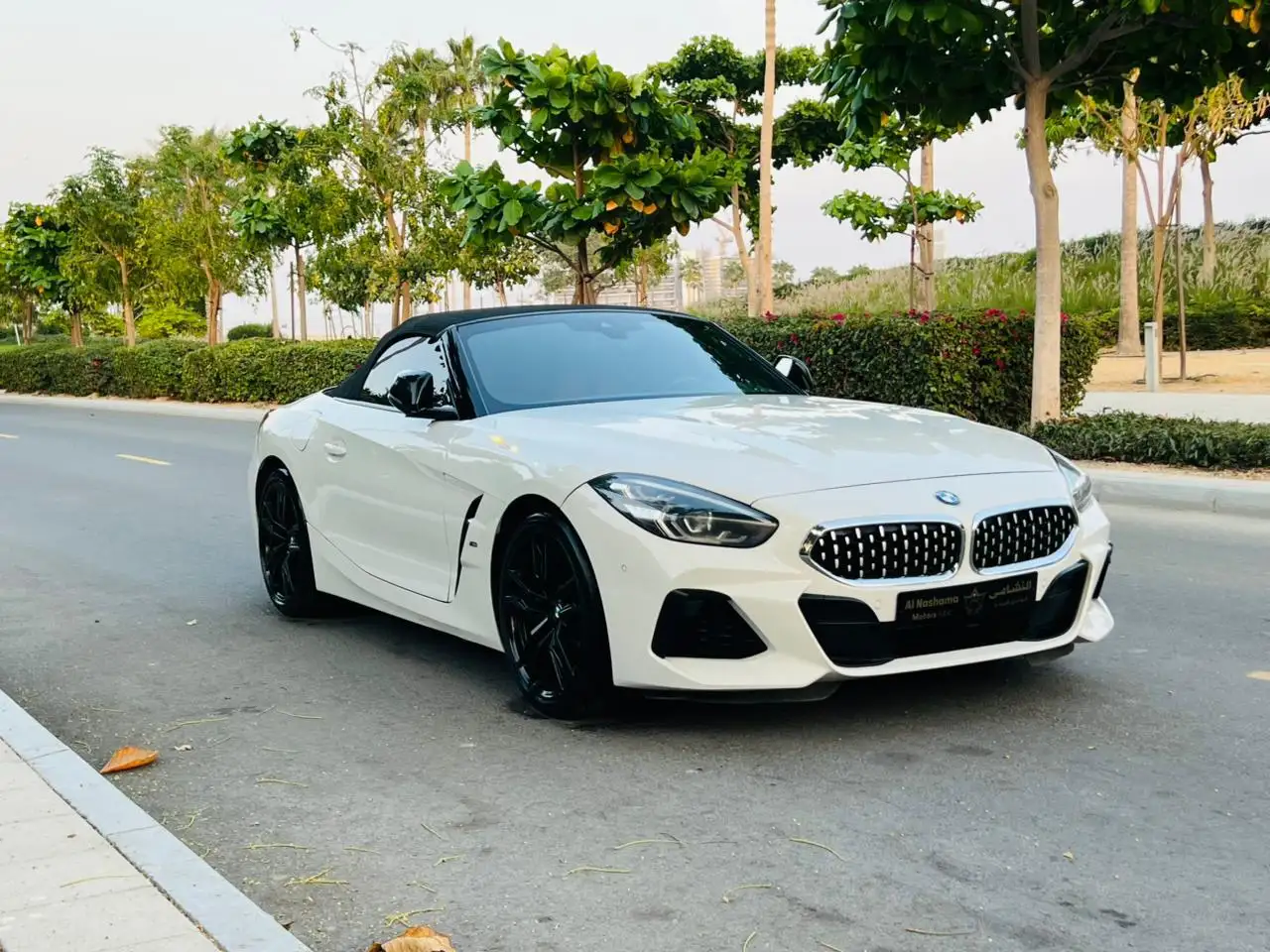 BMW Z4 2019 undefinedL