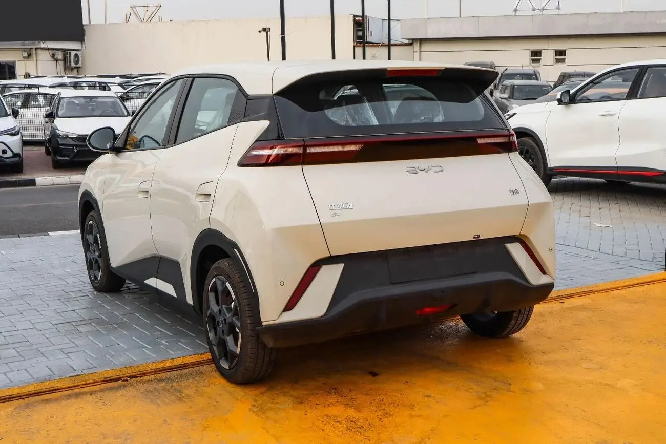 BYD Seagull 2025