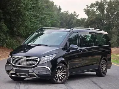 Mercedes Benz V Class 2019 2L