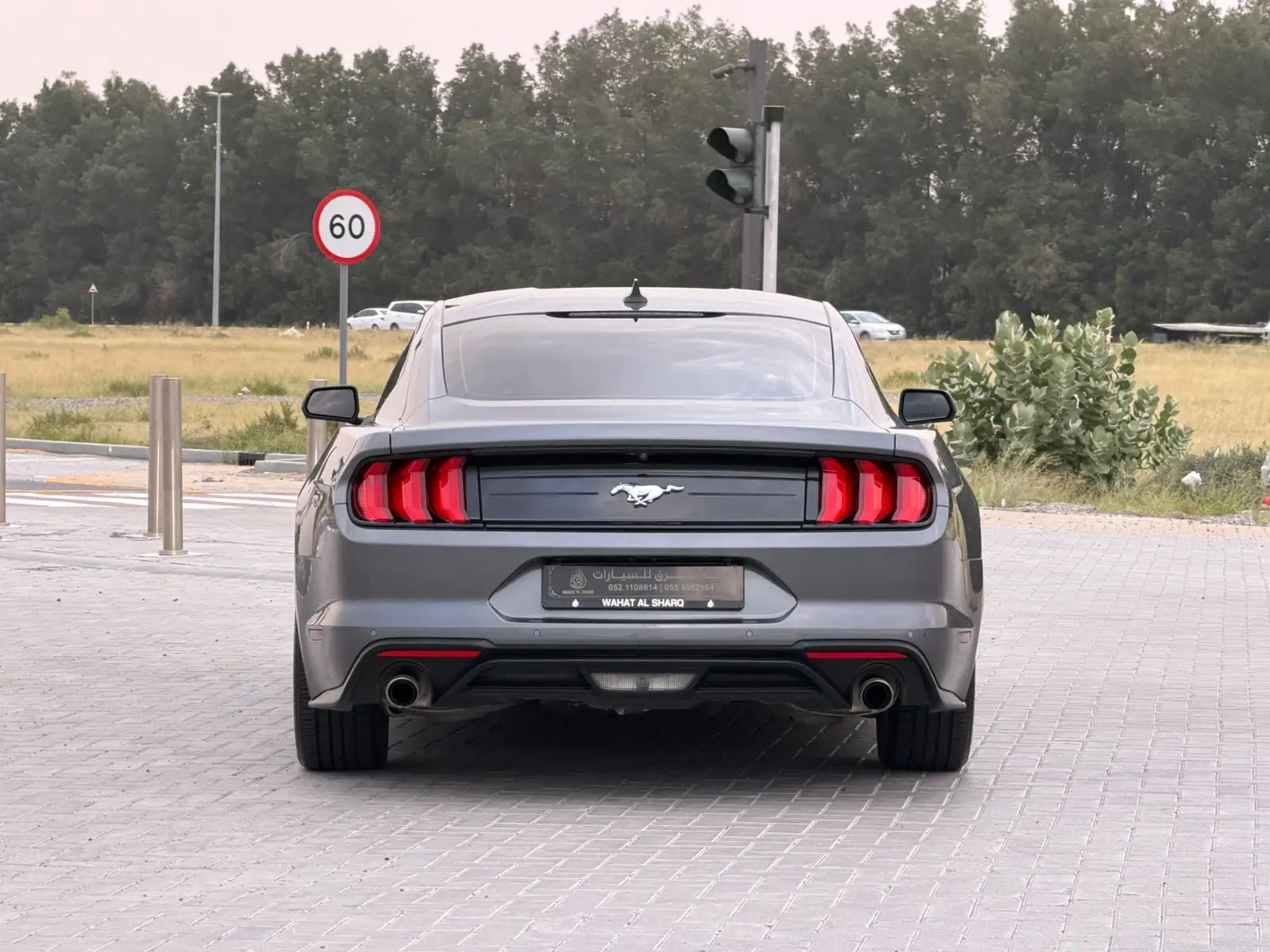 Ford Mustang 2022 2.3L
