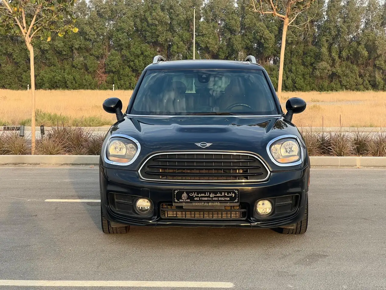 Mini Cooper Countryman 2019