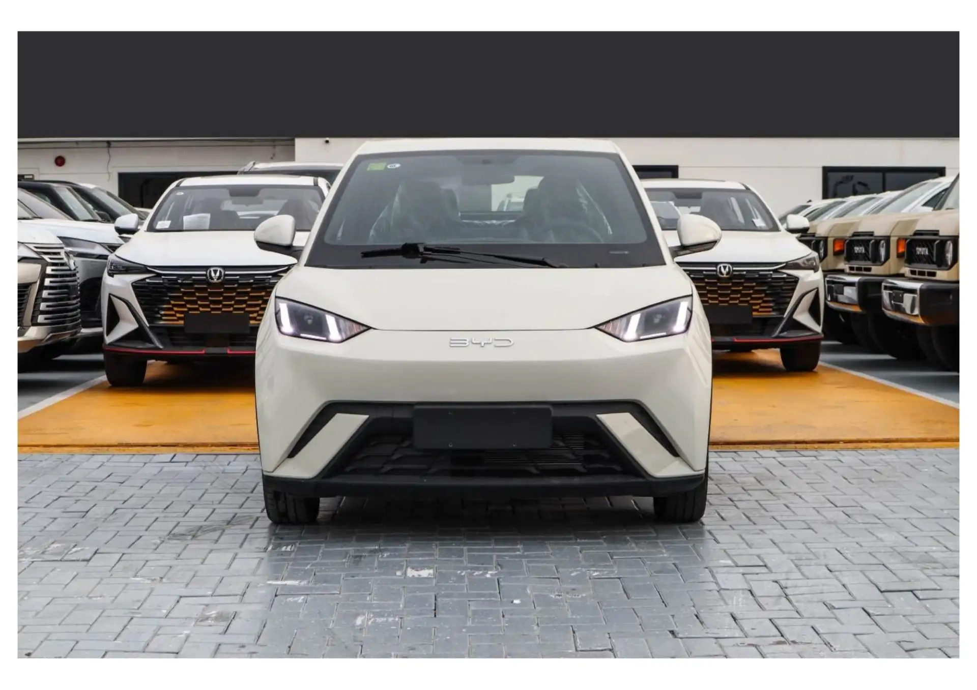 بي واي دي سيجول 2025 undefinedL