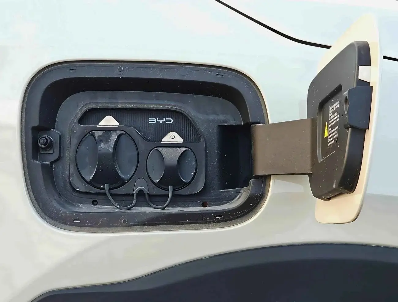 بي واي دي سيجول 2025 undefinedL