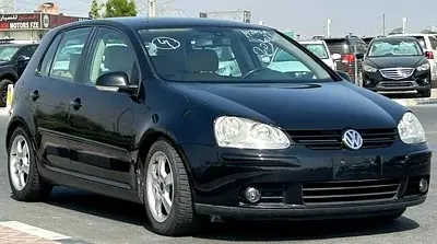 Volkswagen Polo 2005 2L