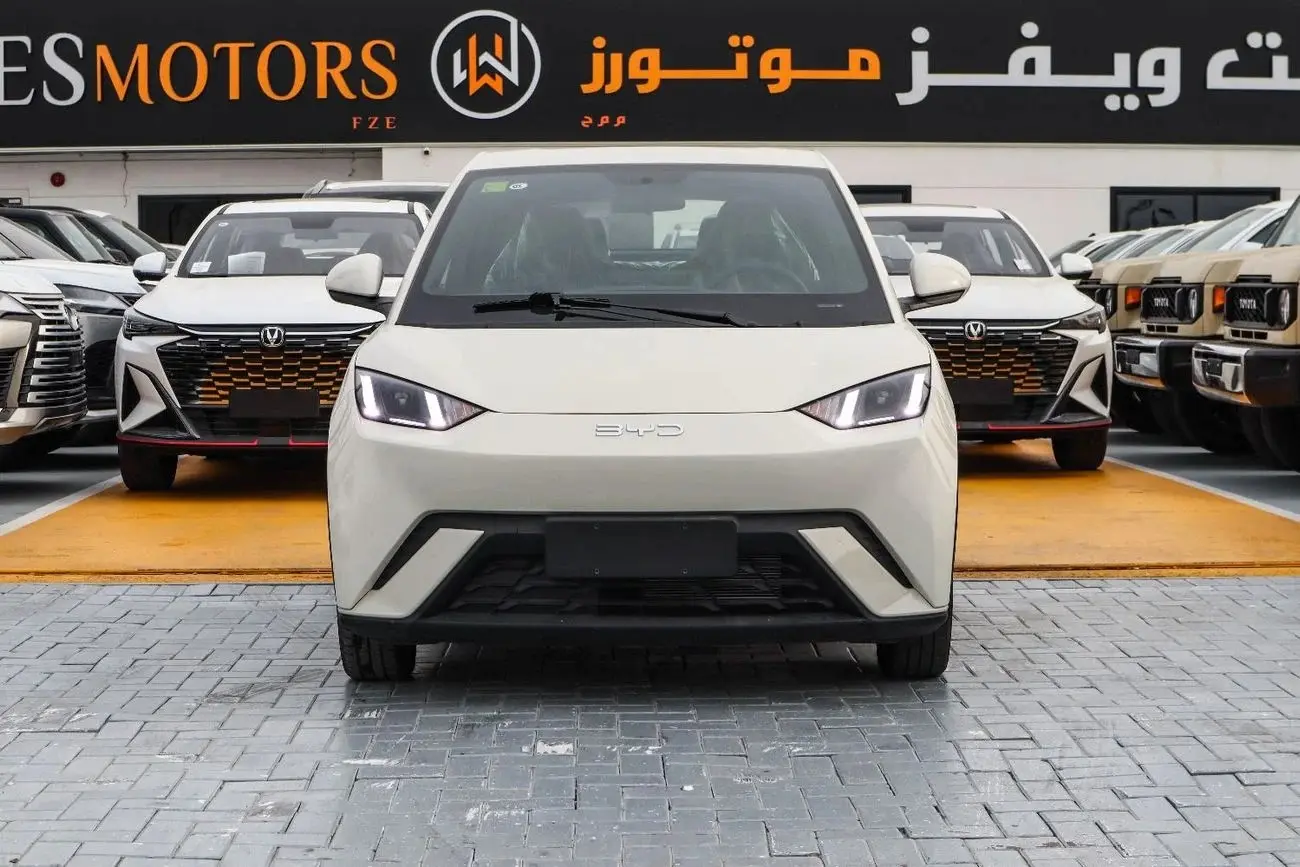BYD Seagull 2025