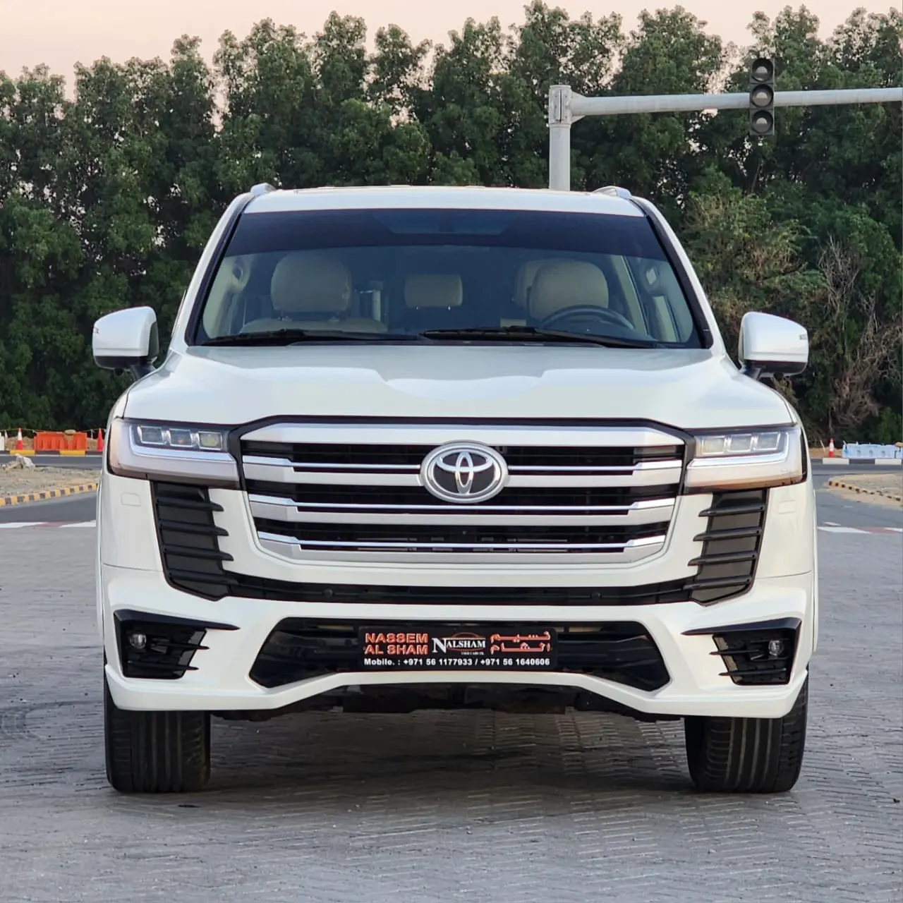 Toyota Land Cruiser 2009