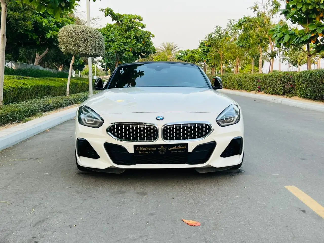 BMW Z4 2019 undefinedL