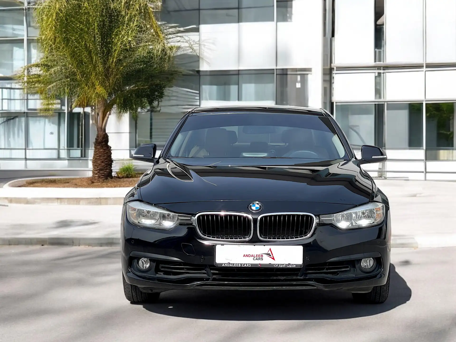 BMW 3 Series 2016 1.6L