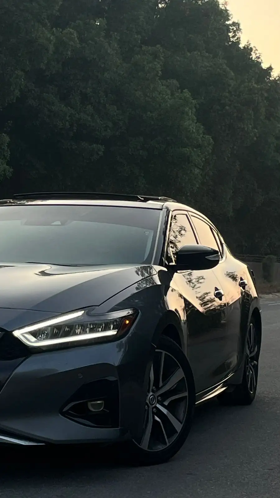 Nissan Maxima 2020