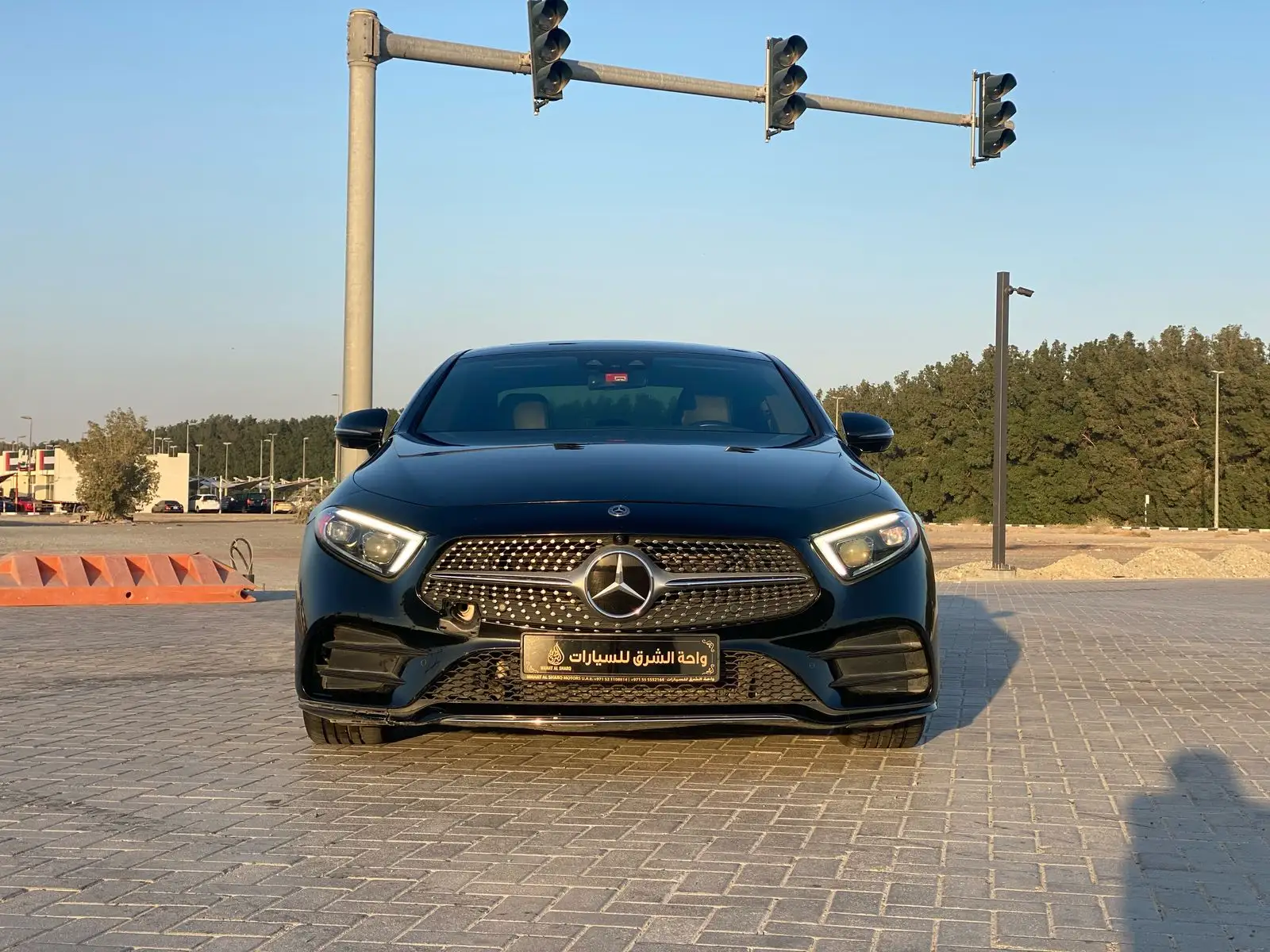 Mercedes Benz CLS Class 2019 3L