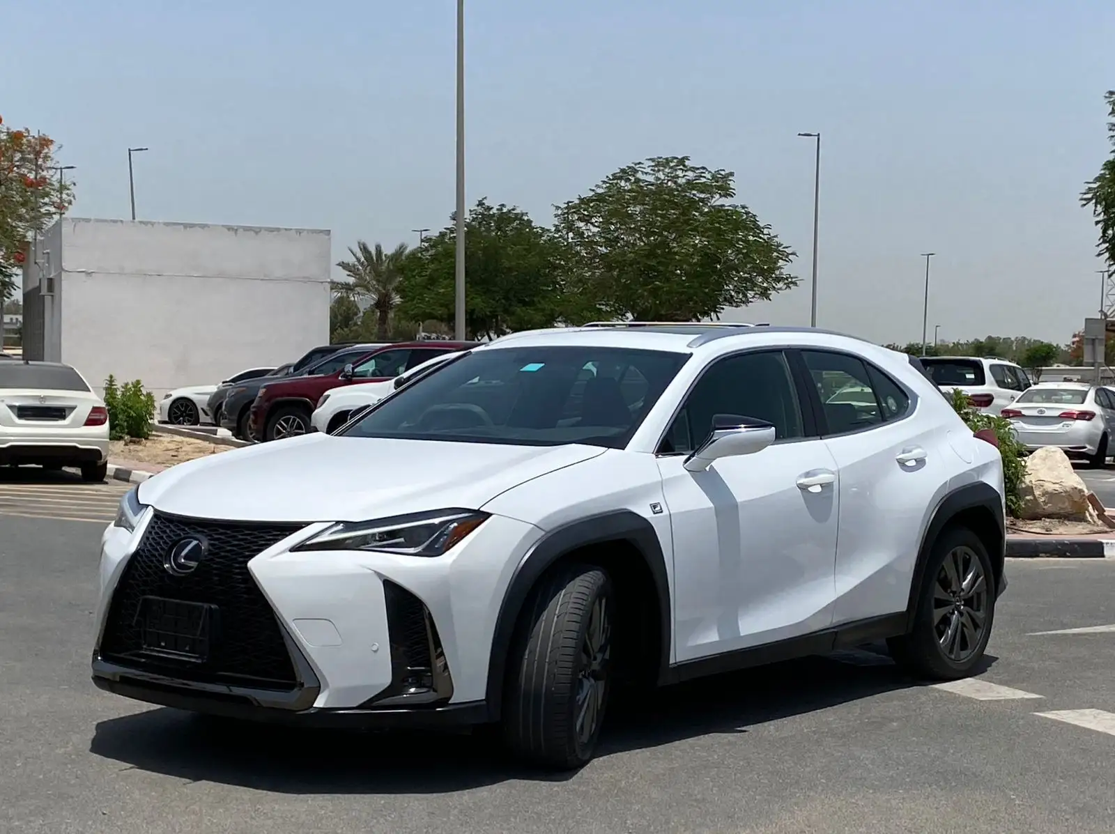 Lexus UX 2019 2L