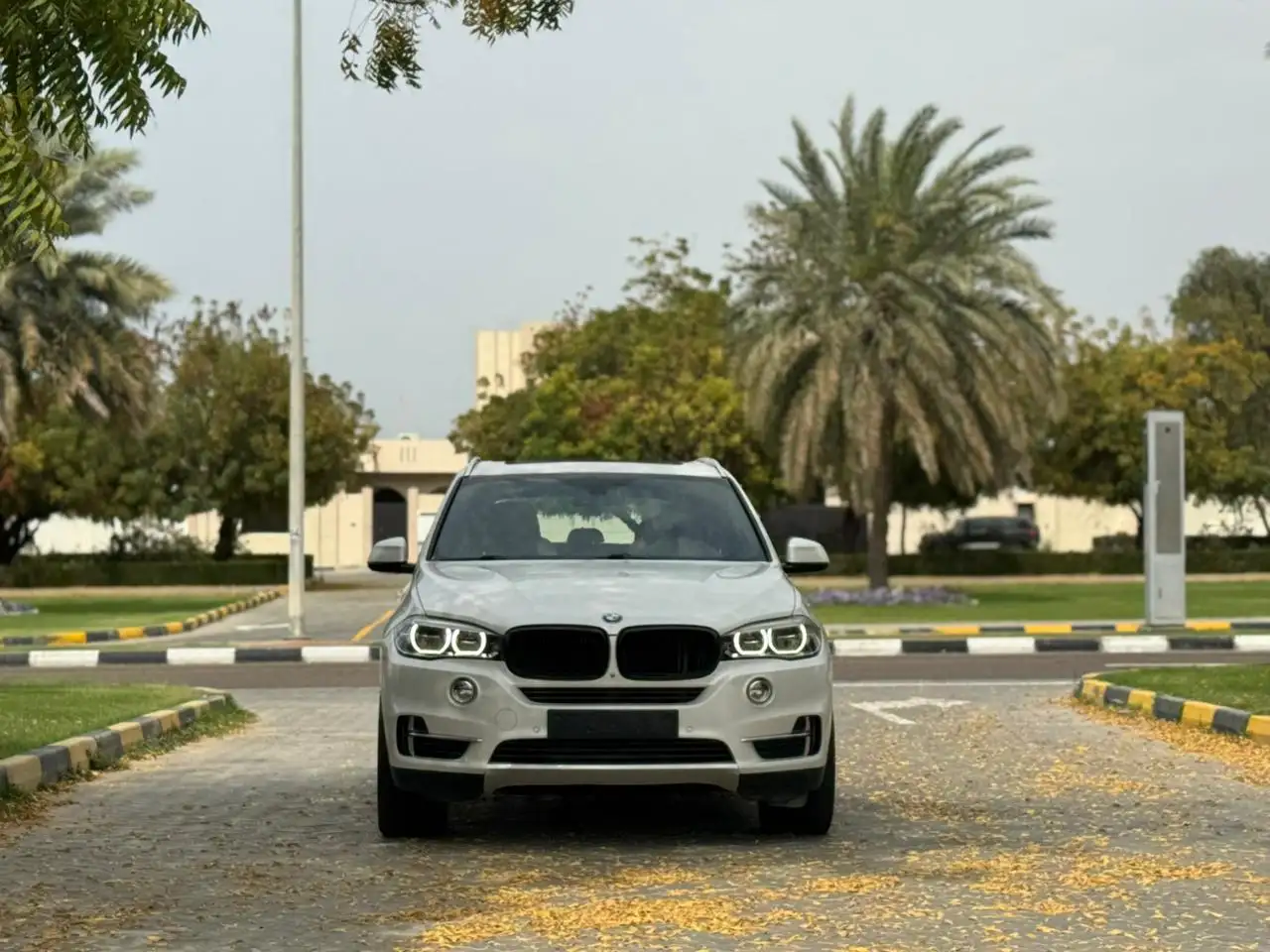 BMW X5 2017 undefinedL